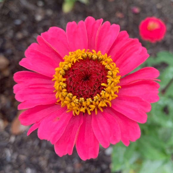 😍See something you must have? - Picture 15 of 16